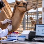 فحص هرمونات الذكورة