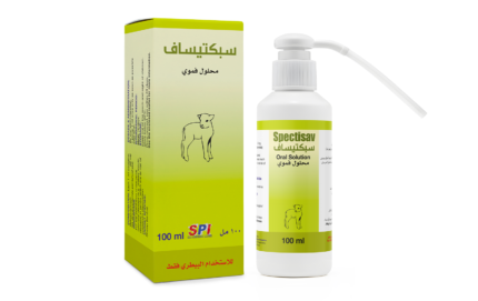 سبكتوساف 100 مل